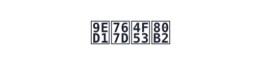 黑白体育